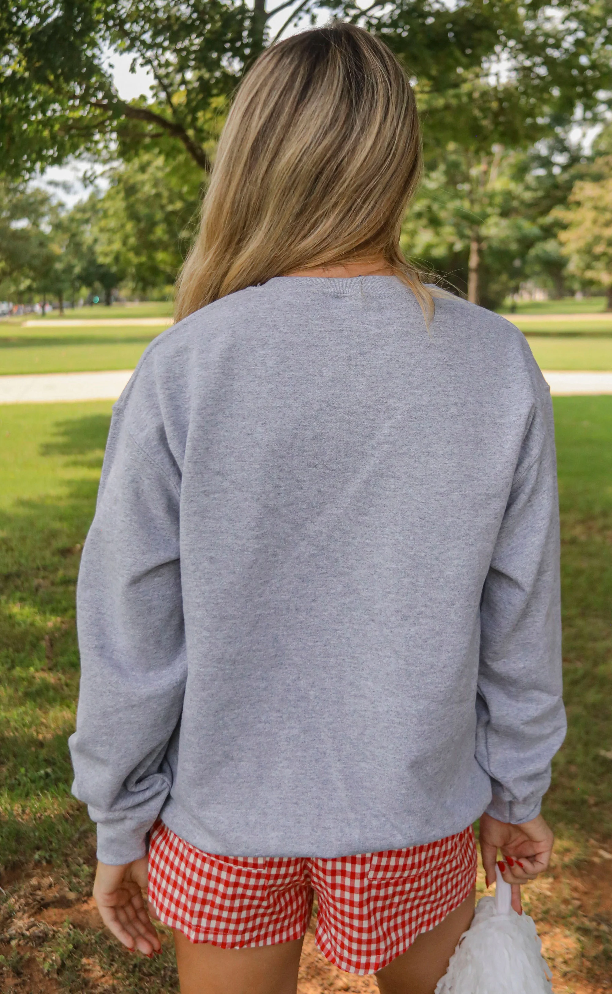 charlie southern: arkansas flag sweatshirt - Image 7